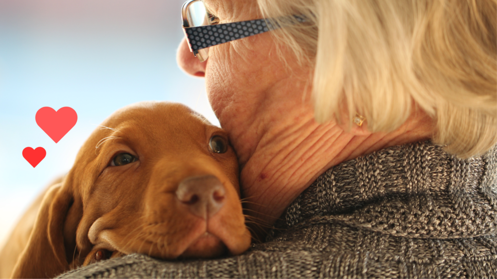 Puppy bonding with an owner with guidance from Everett Veterinary Hospital in Everett, WA